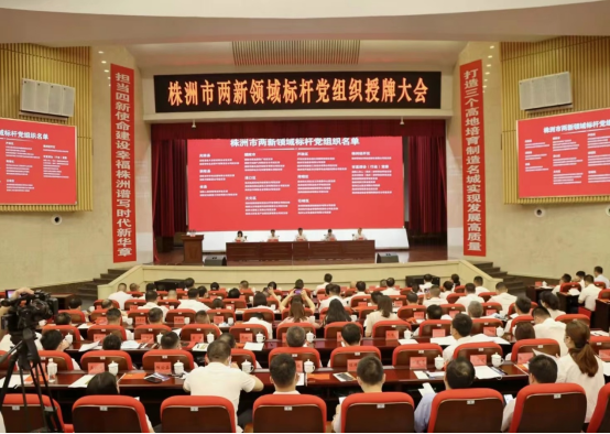 中共北京市隆安（株洲）律师事务所支部委员会获评株洲市两新领域“标杆党组织”荣誉称号
