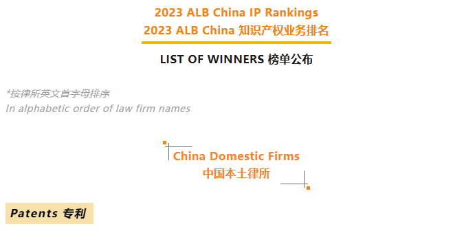 隆安荣誉｜隆安蝉联2023ALB中国知产排名双榜单